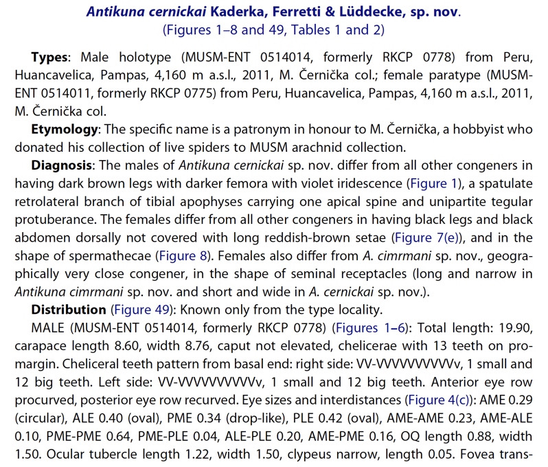 Original Description