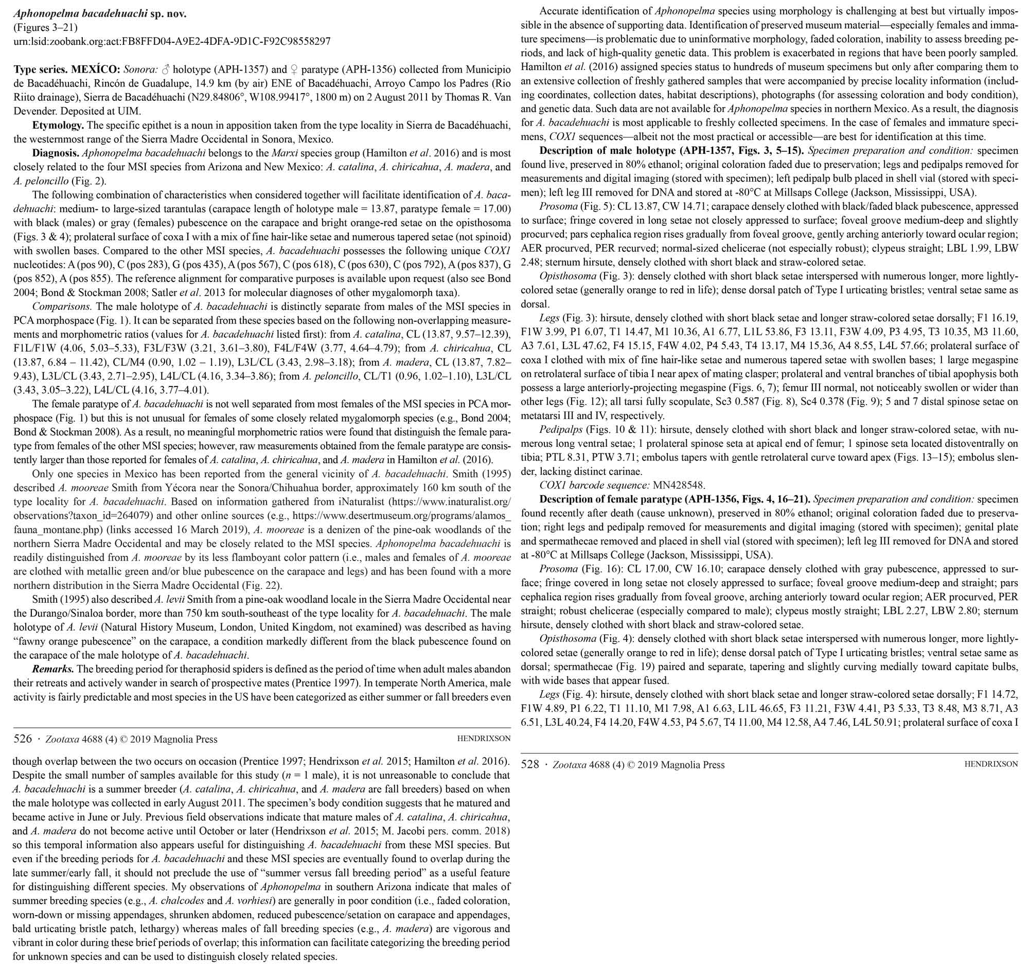 Original Description