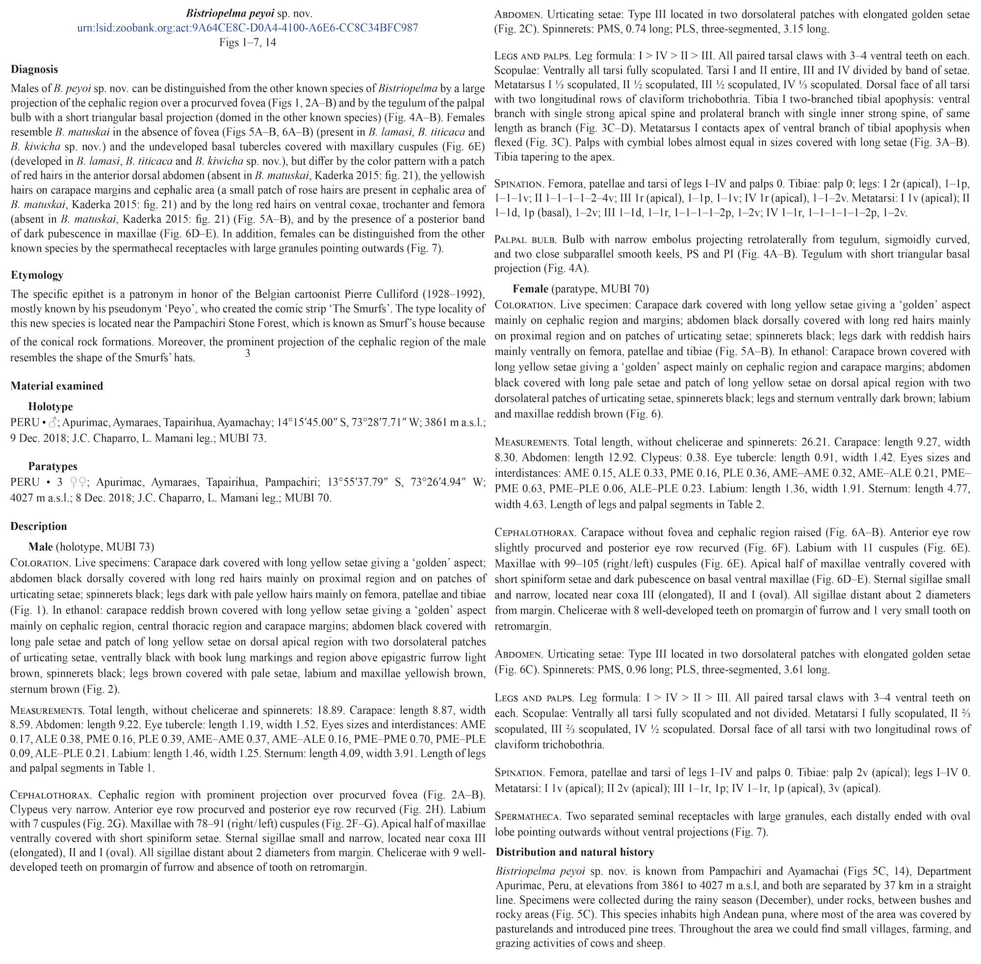 Original Description