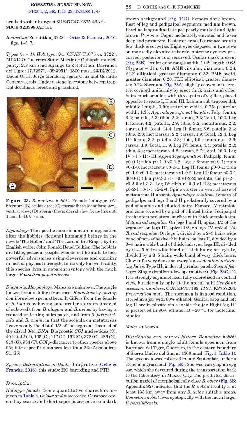 Original Description