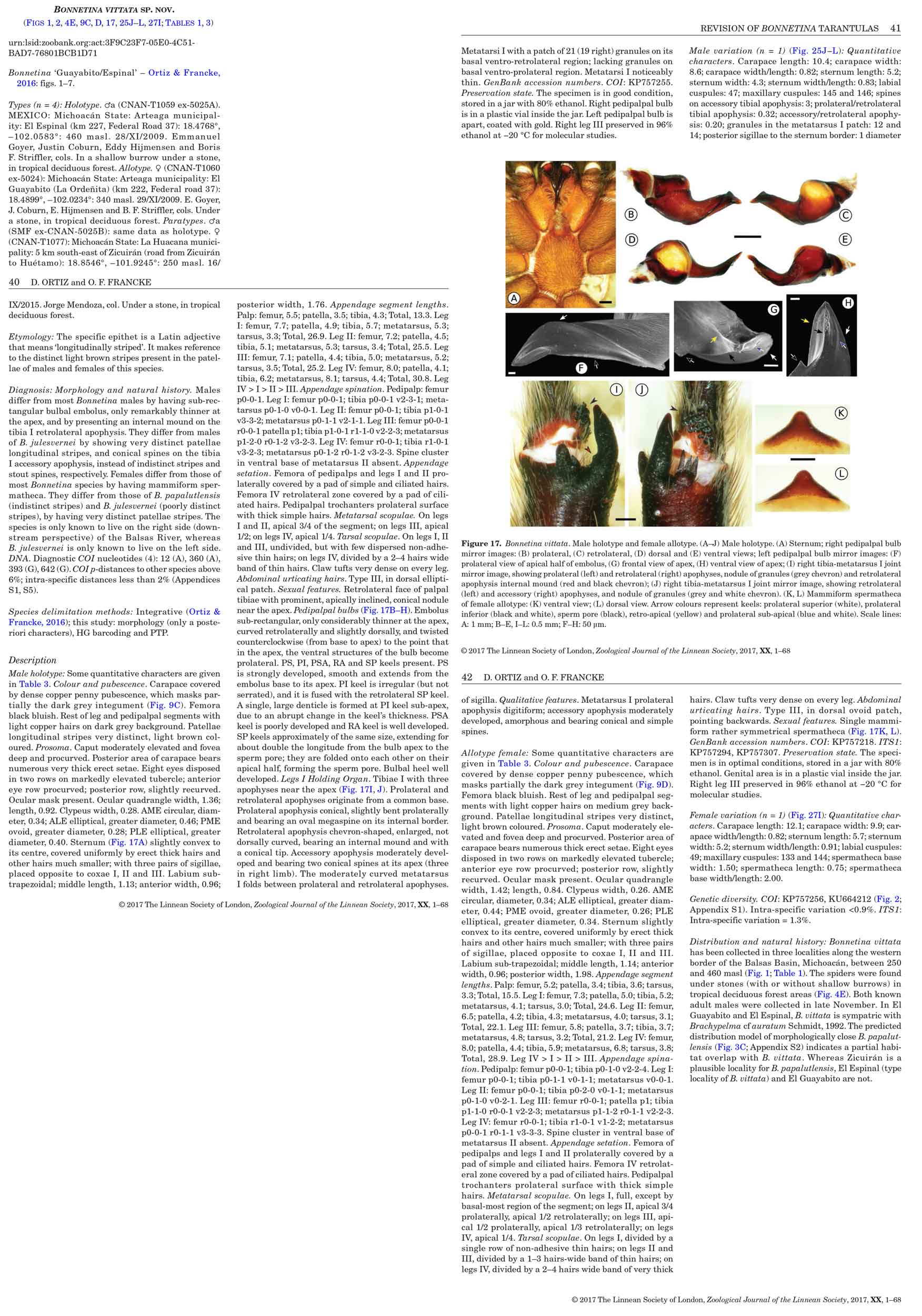 Original Description