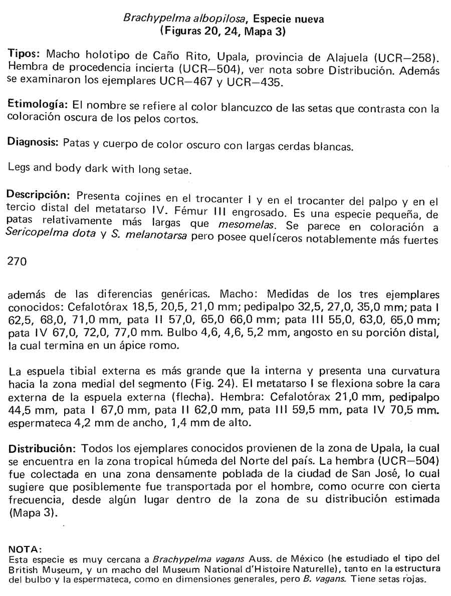 Original Description