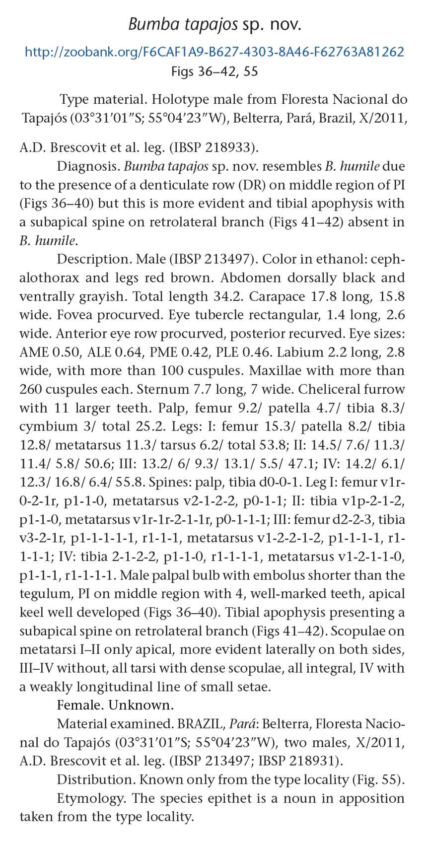 Original Description