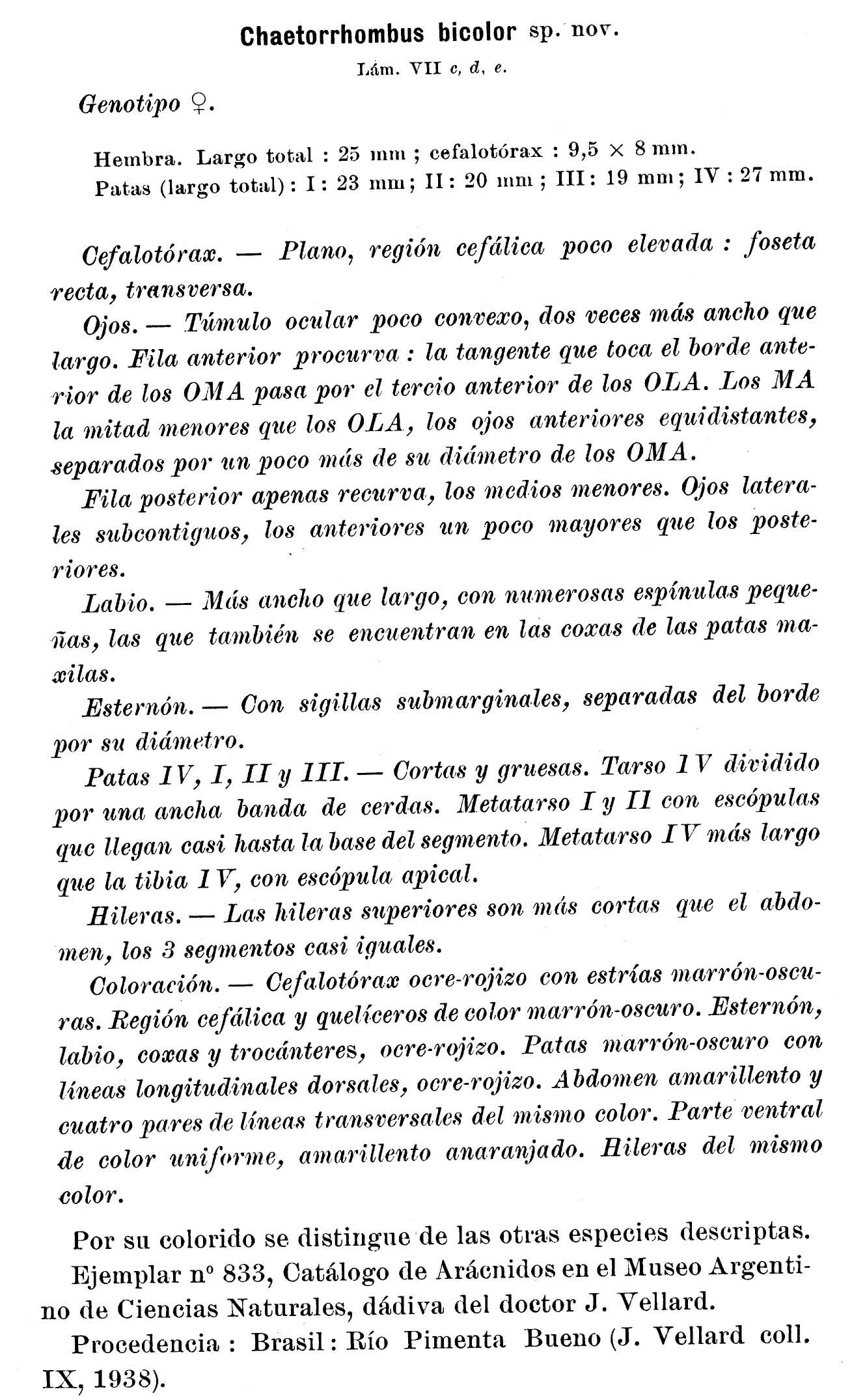 Original Description