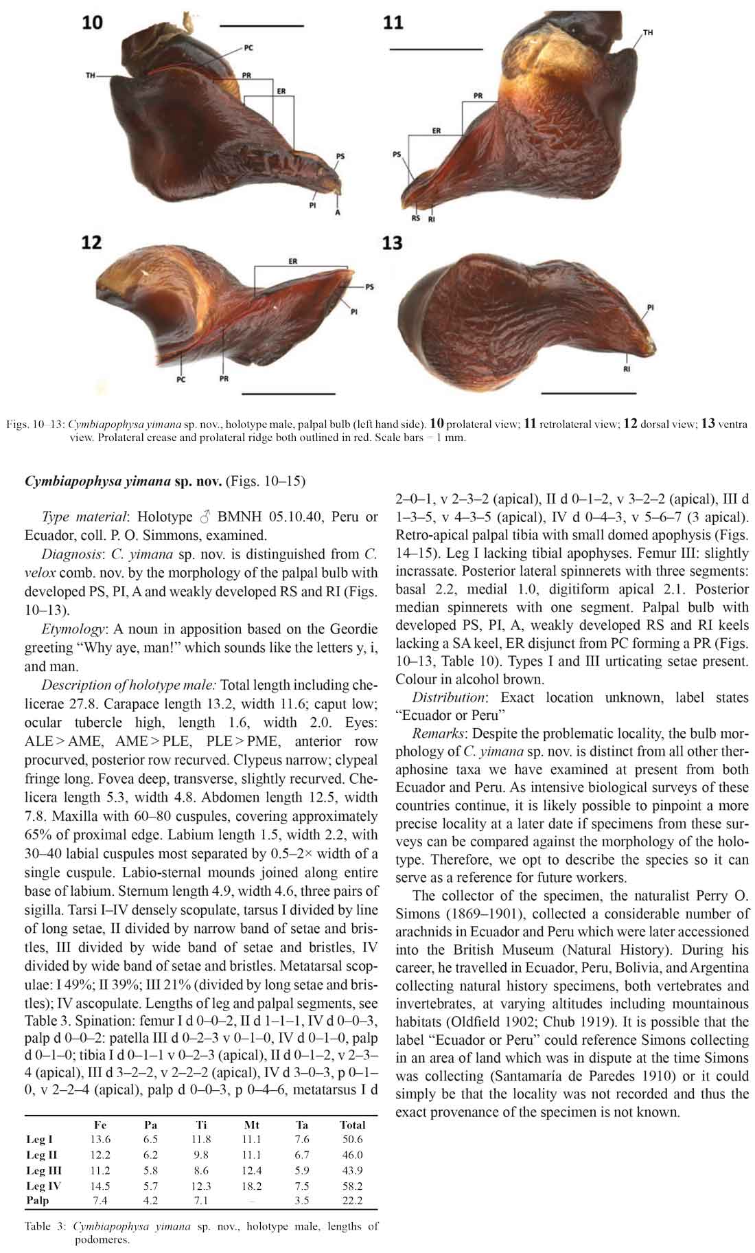 Original Description