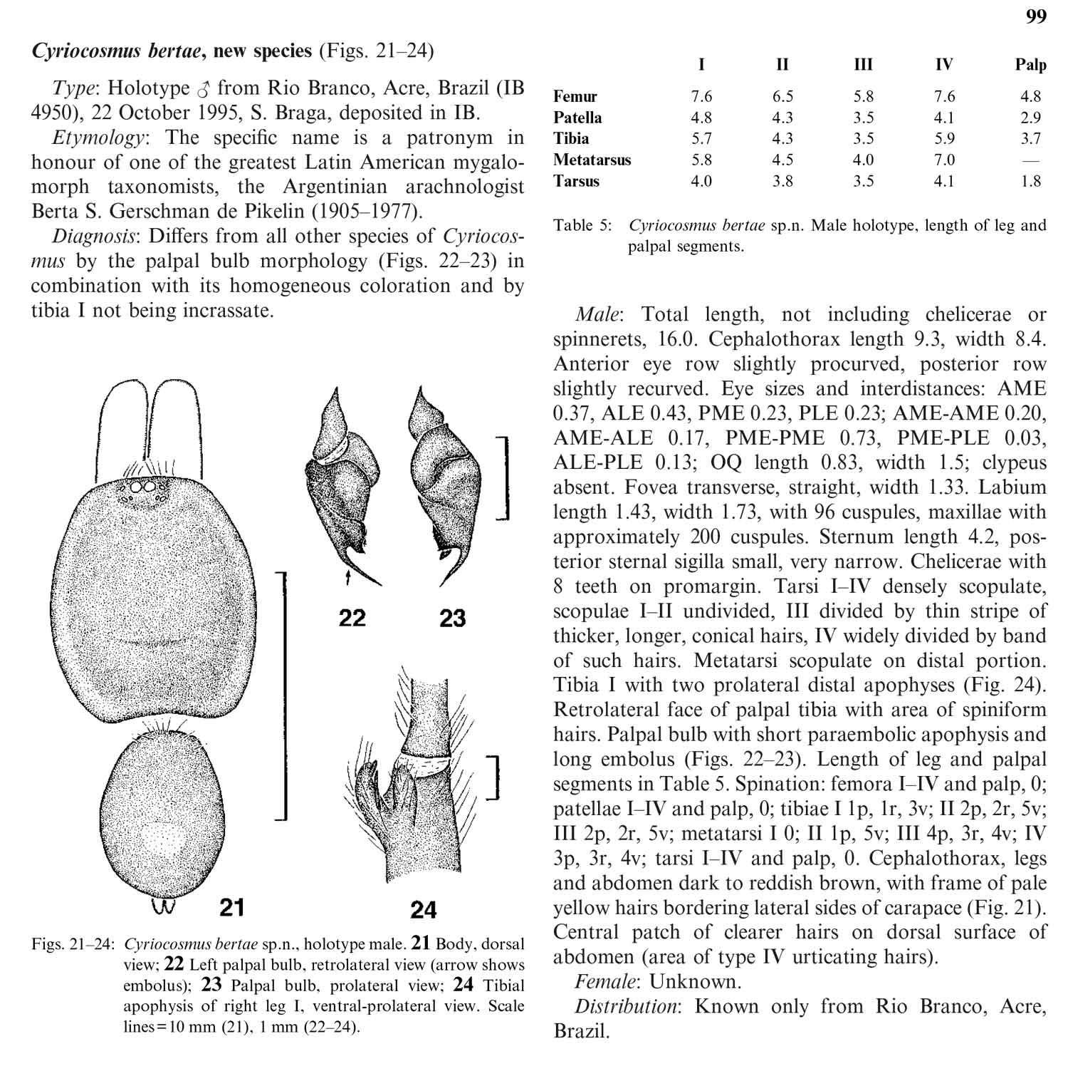 Original Description