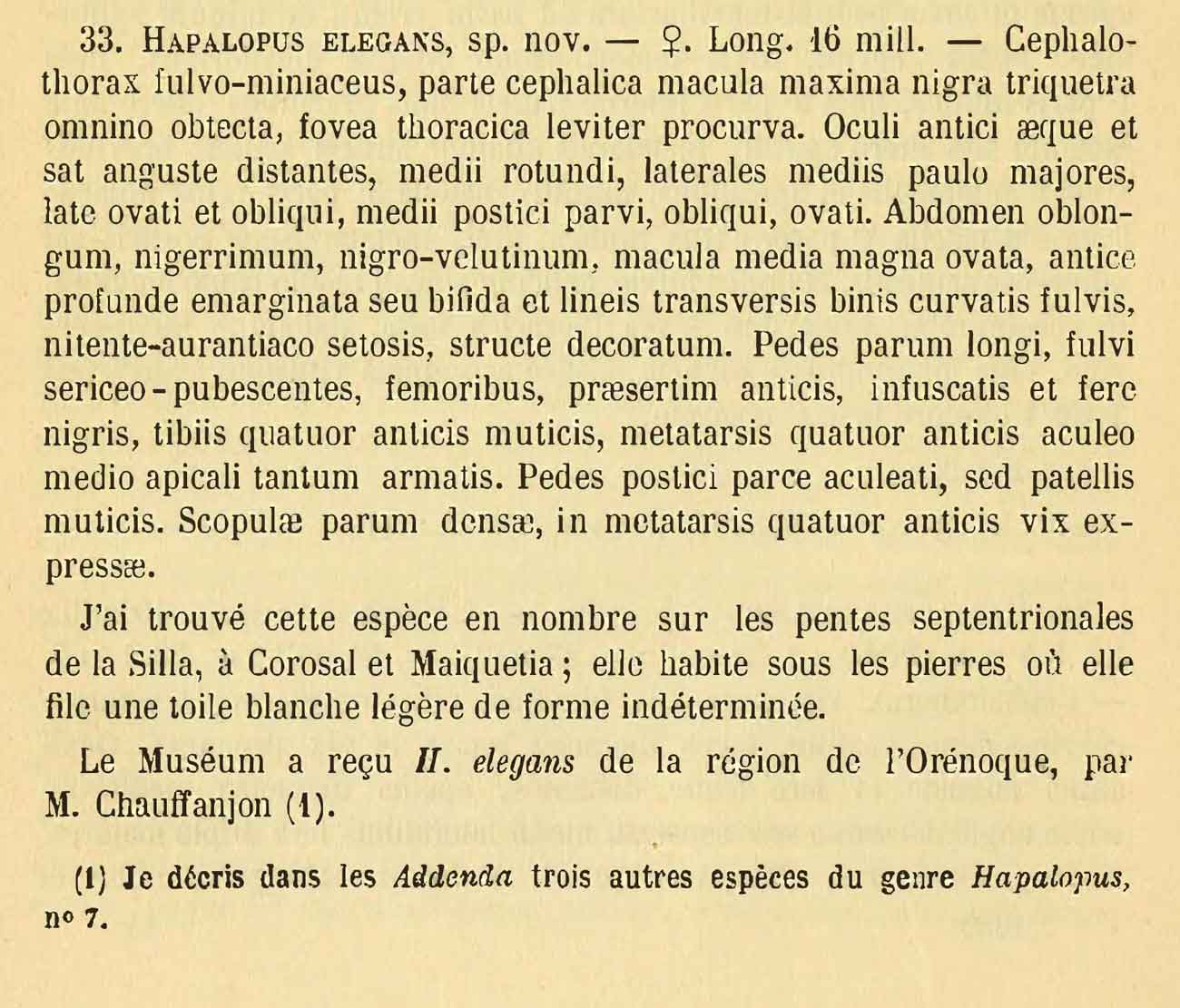 Original Description