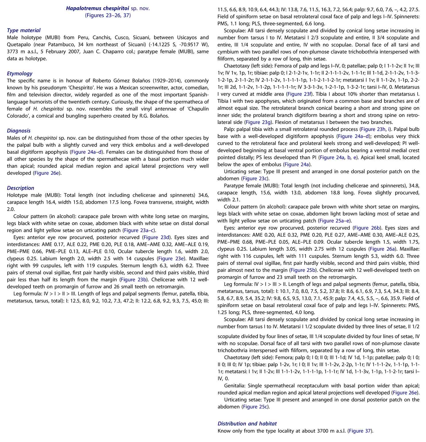 Original Description