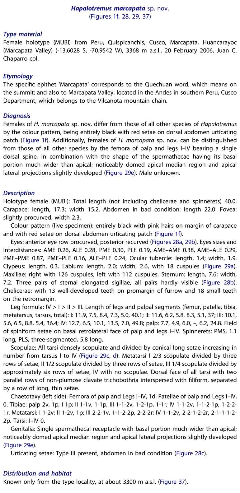 Original Description