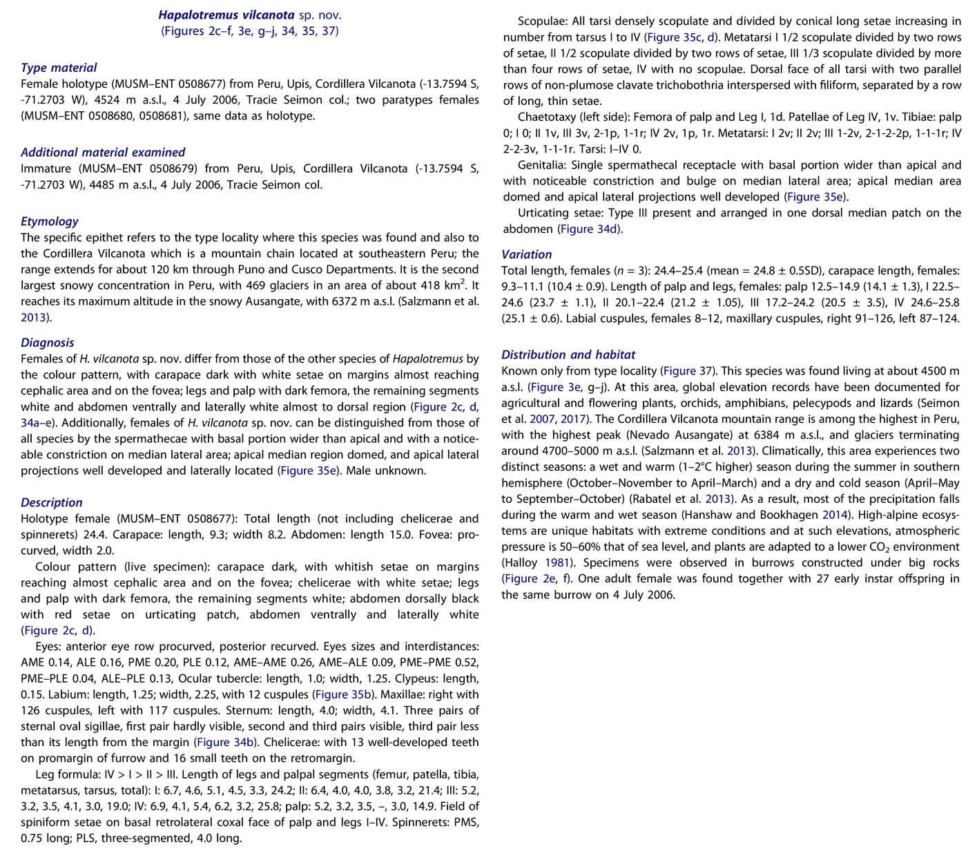 Original Description