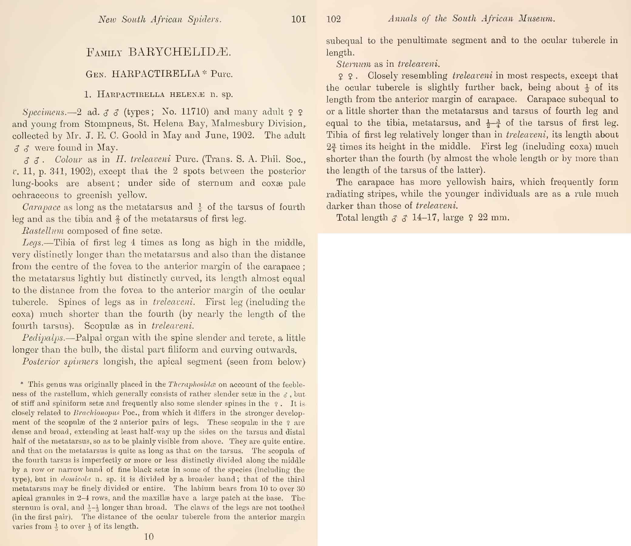 Original Description