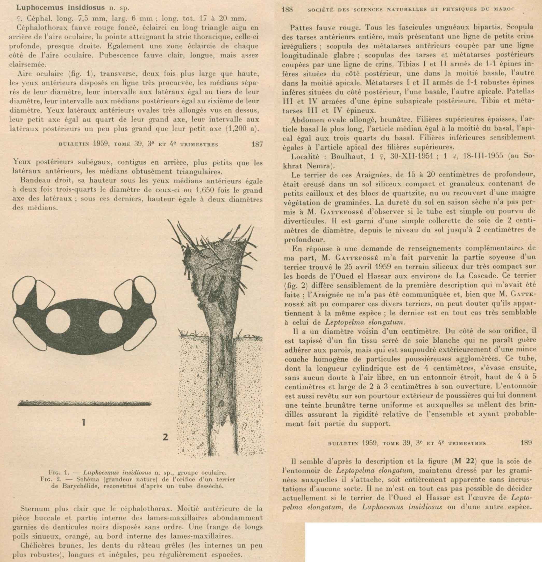 Original Description