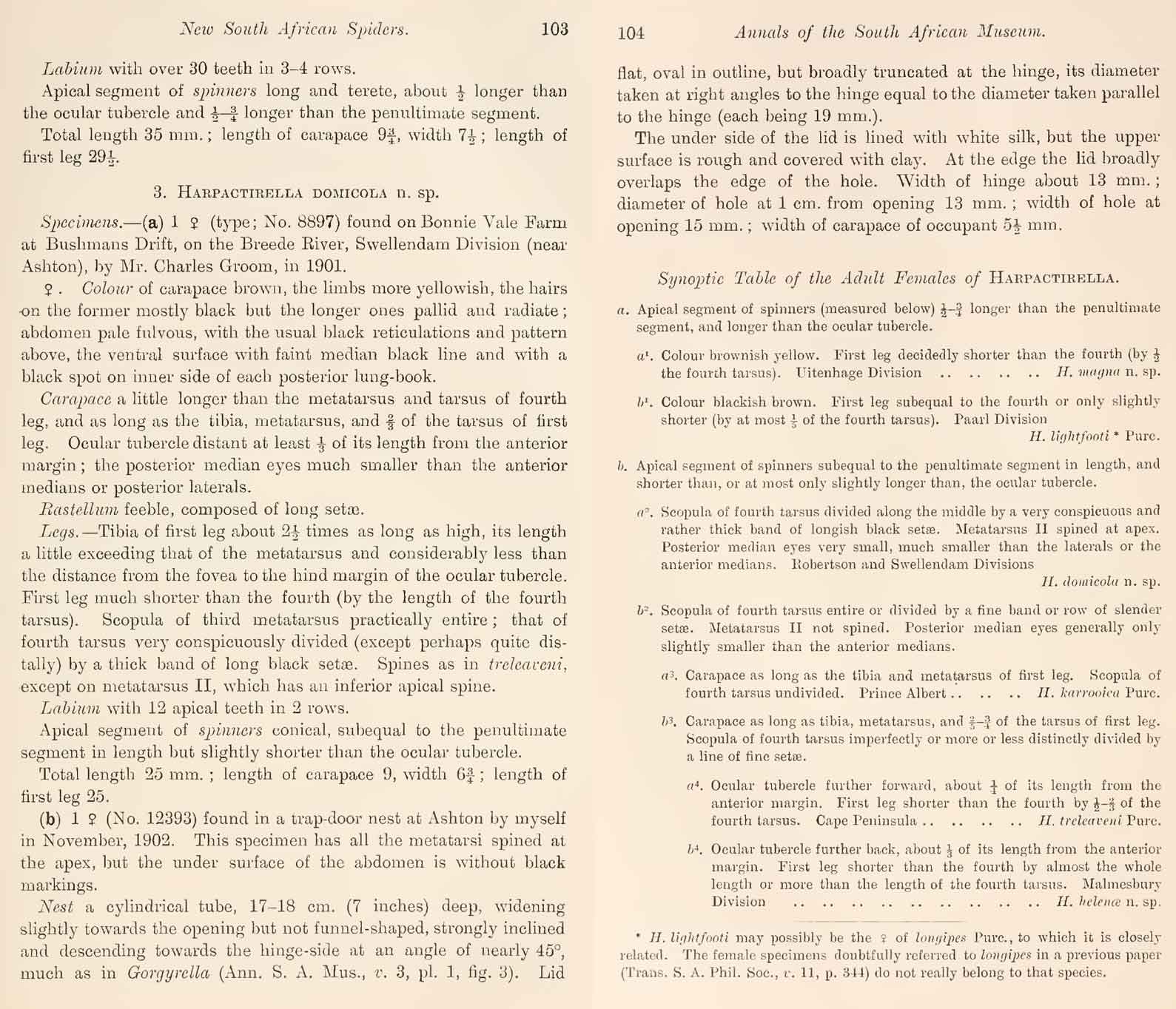 Original Description