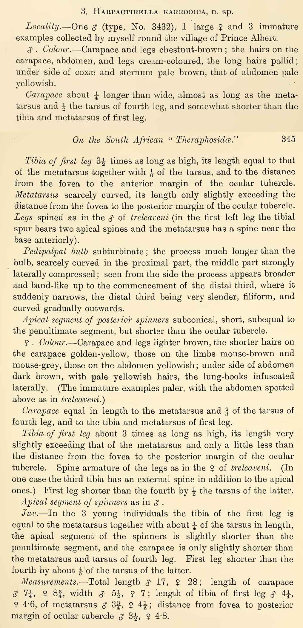Original Description