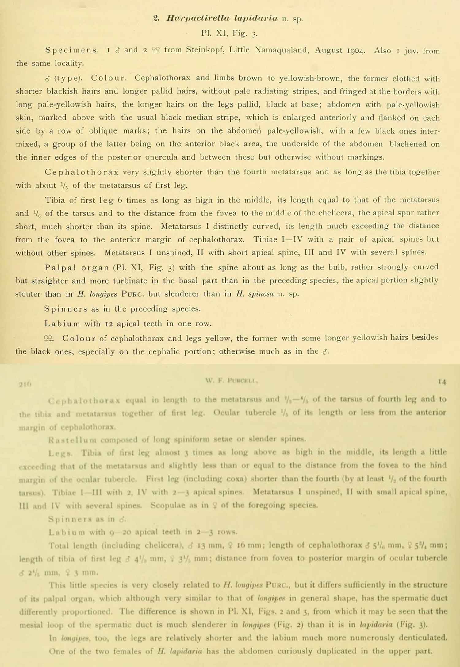 Original Description
