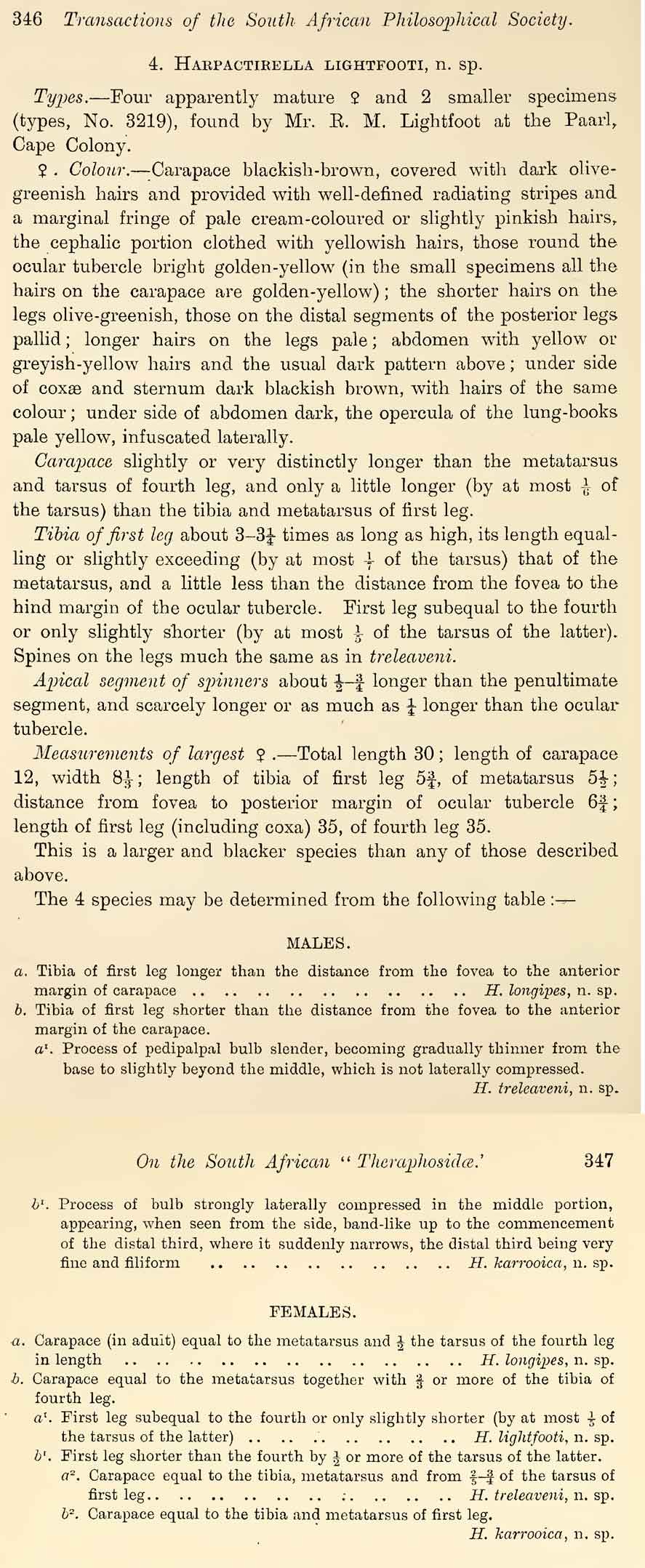 Original Description