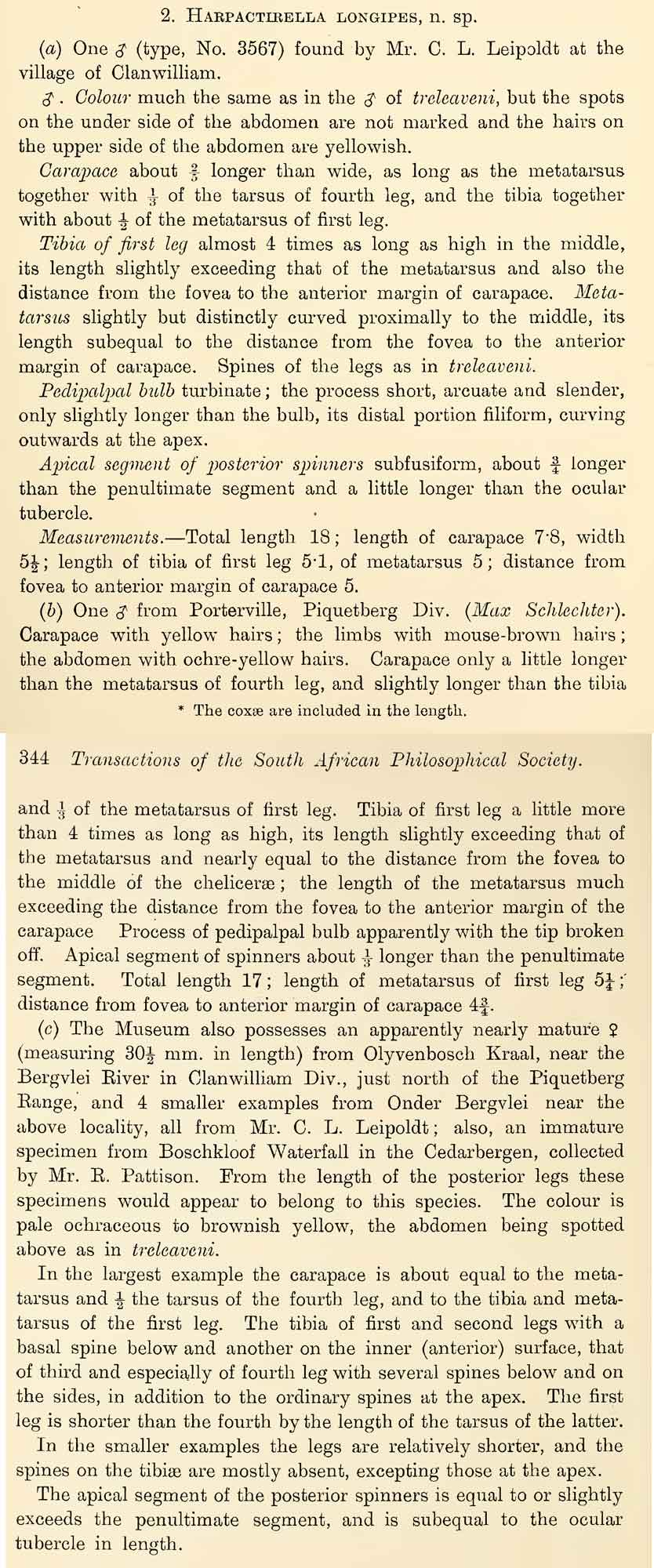 Original Description