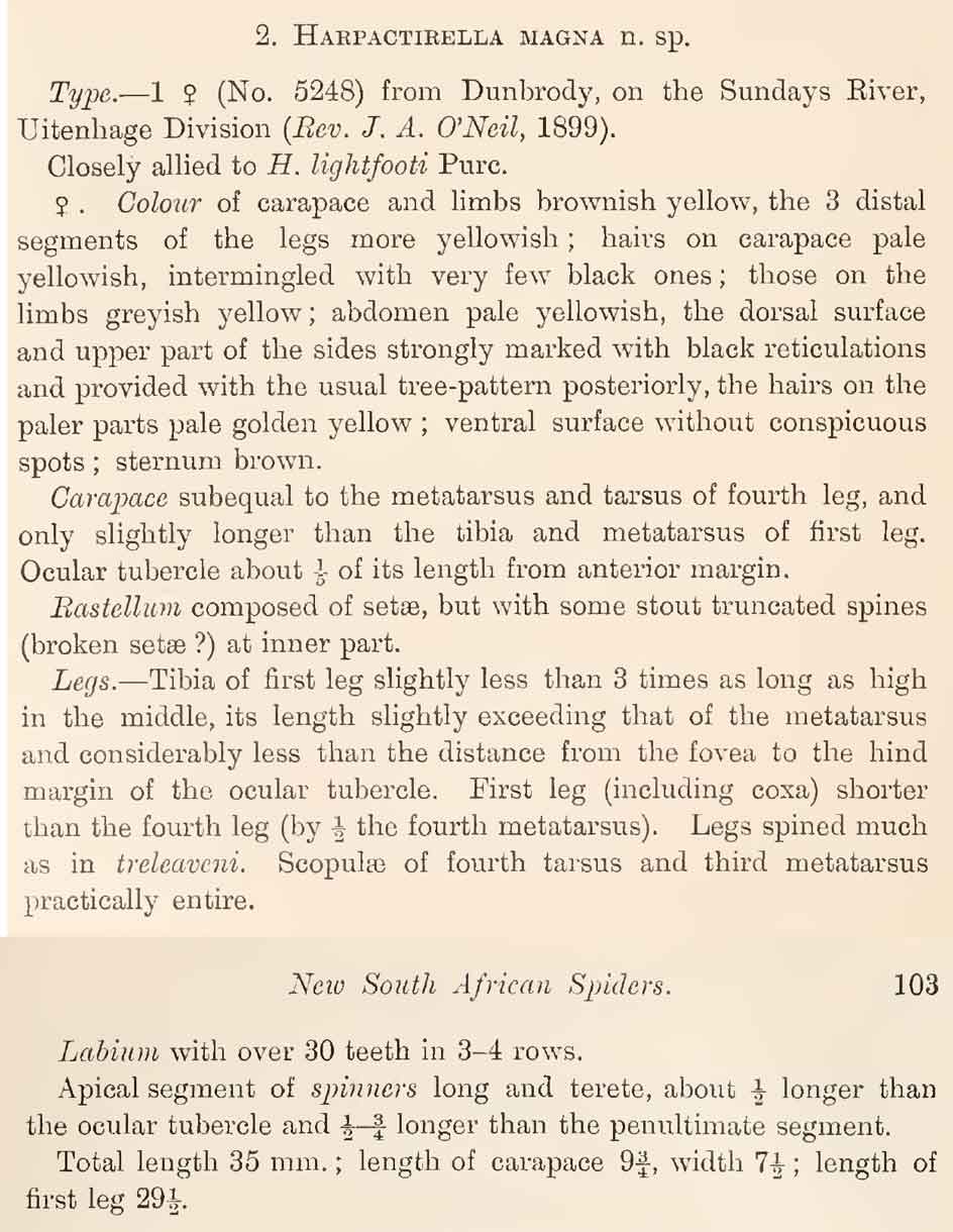 Original Description
