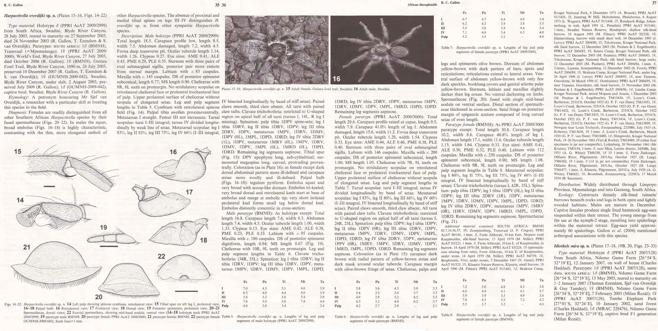 Original Description