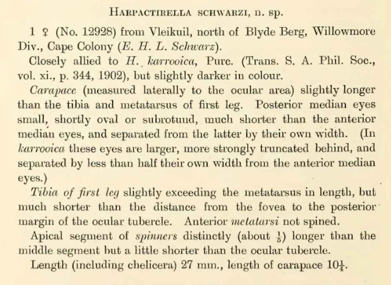Original Description
