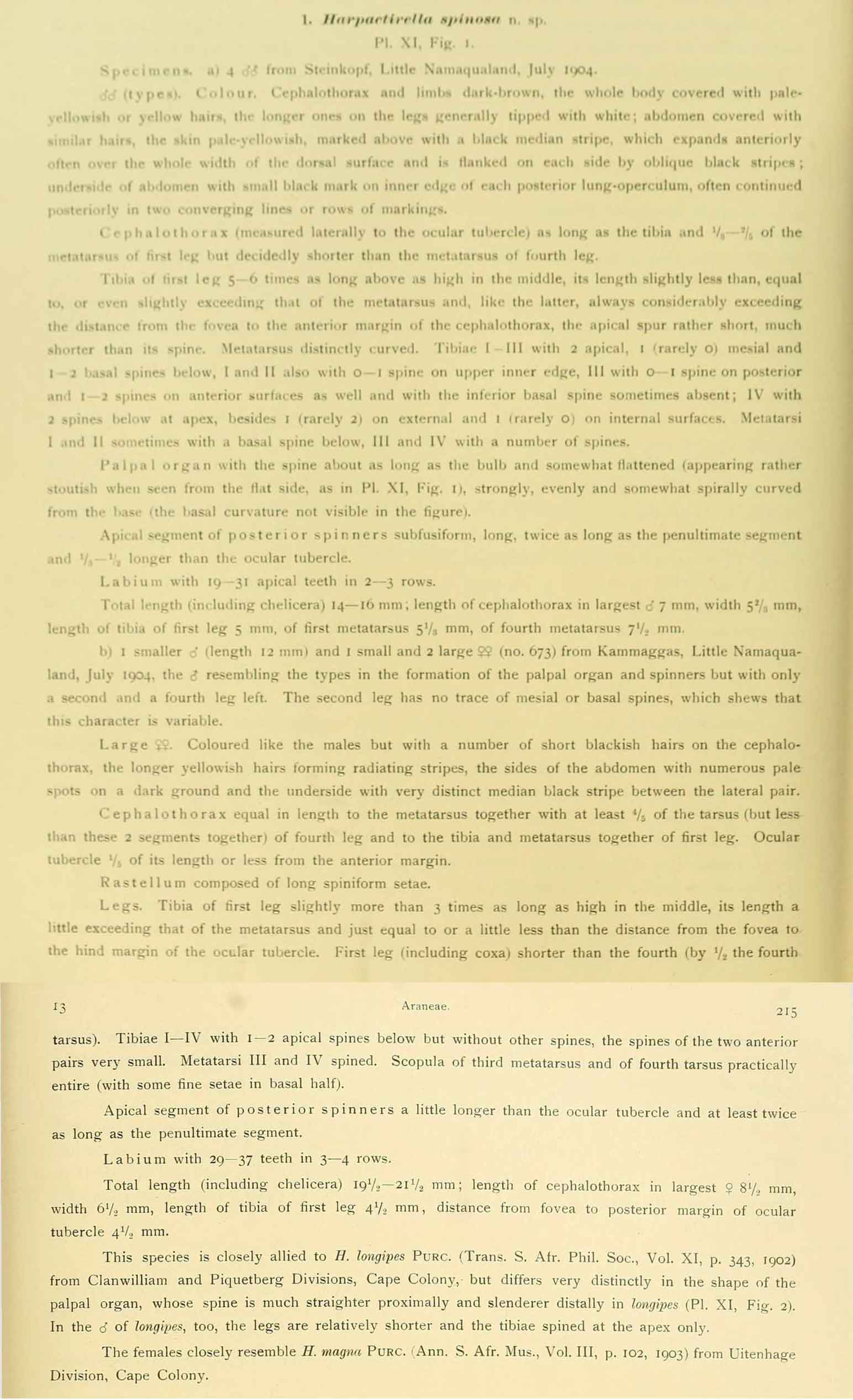 Original Description