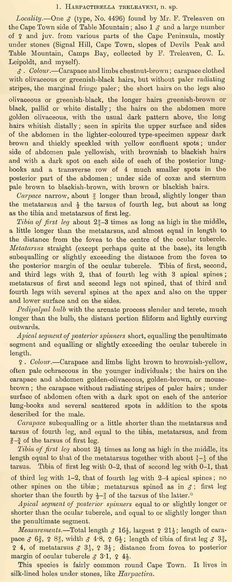 Original Description
