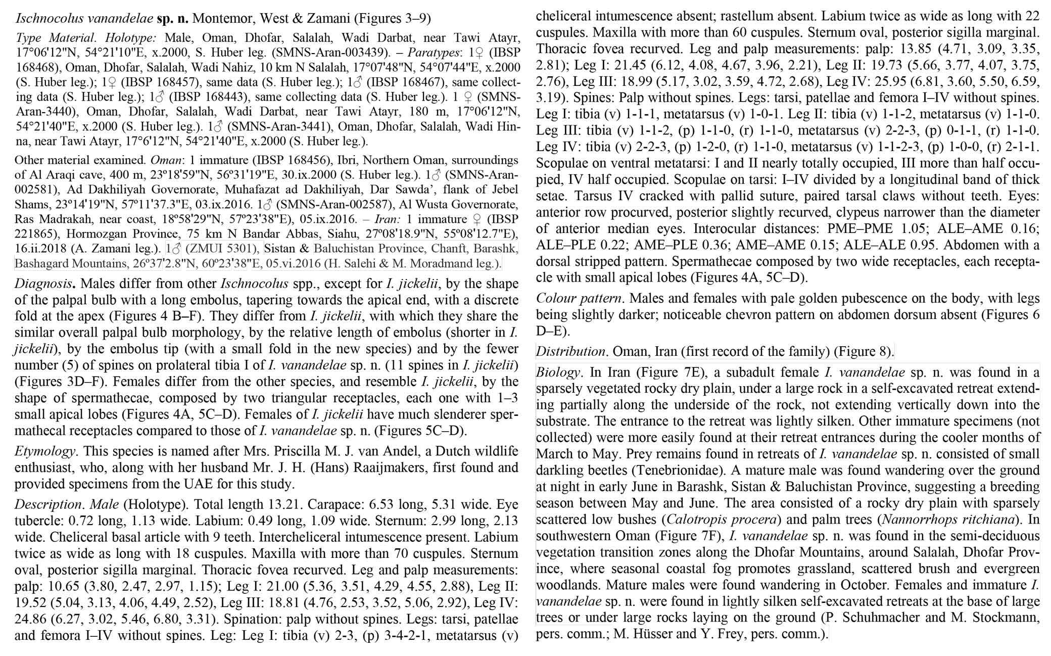 Original Description