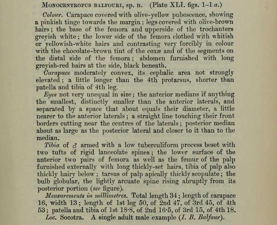 Original Description