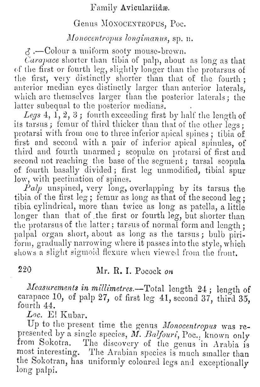 Original Description
