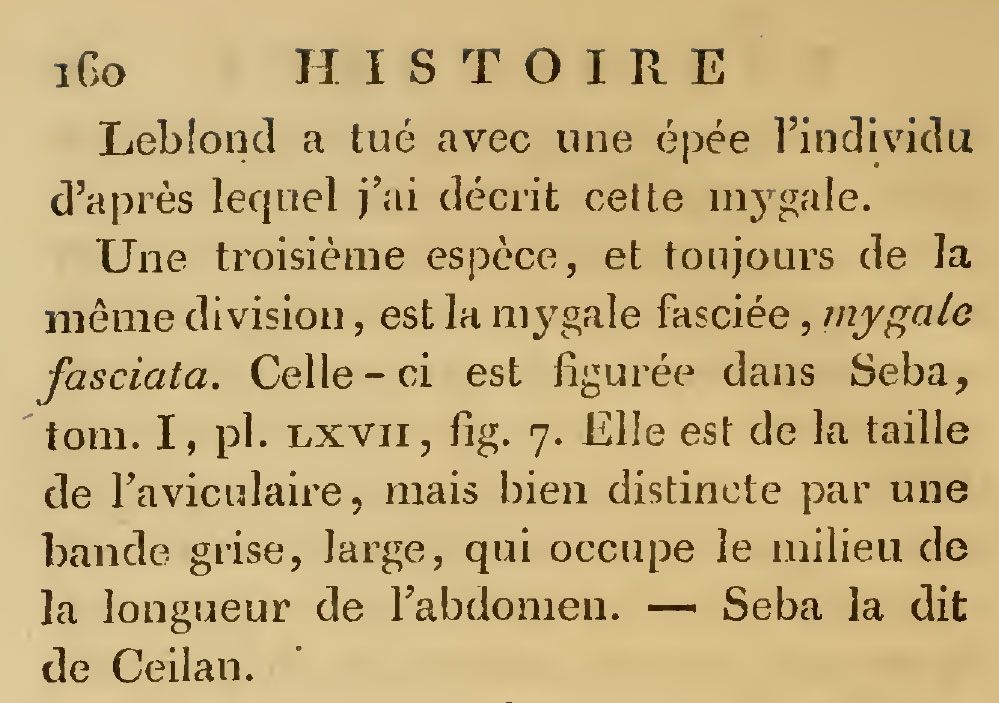 Original Description
