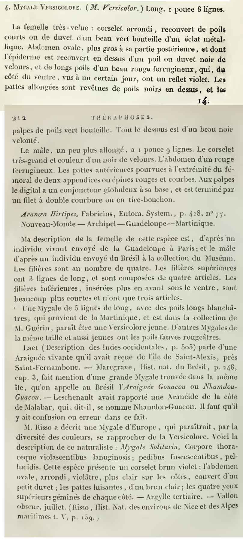 Original Description