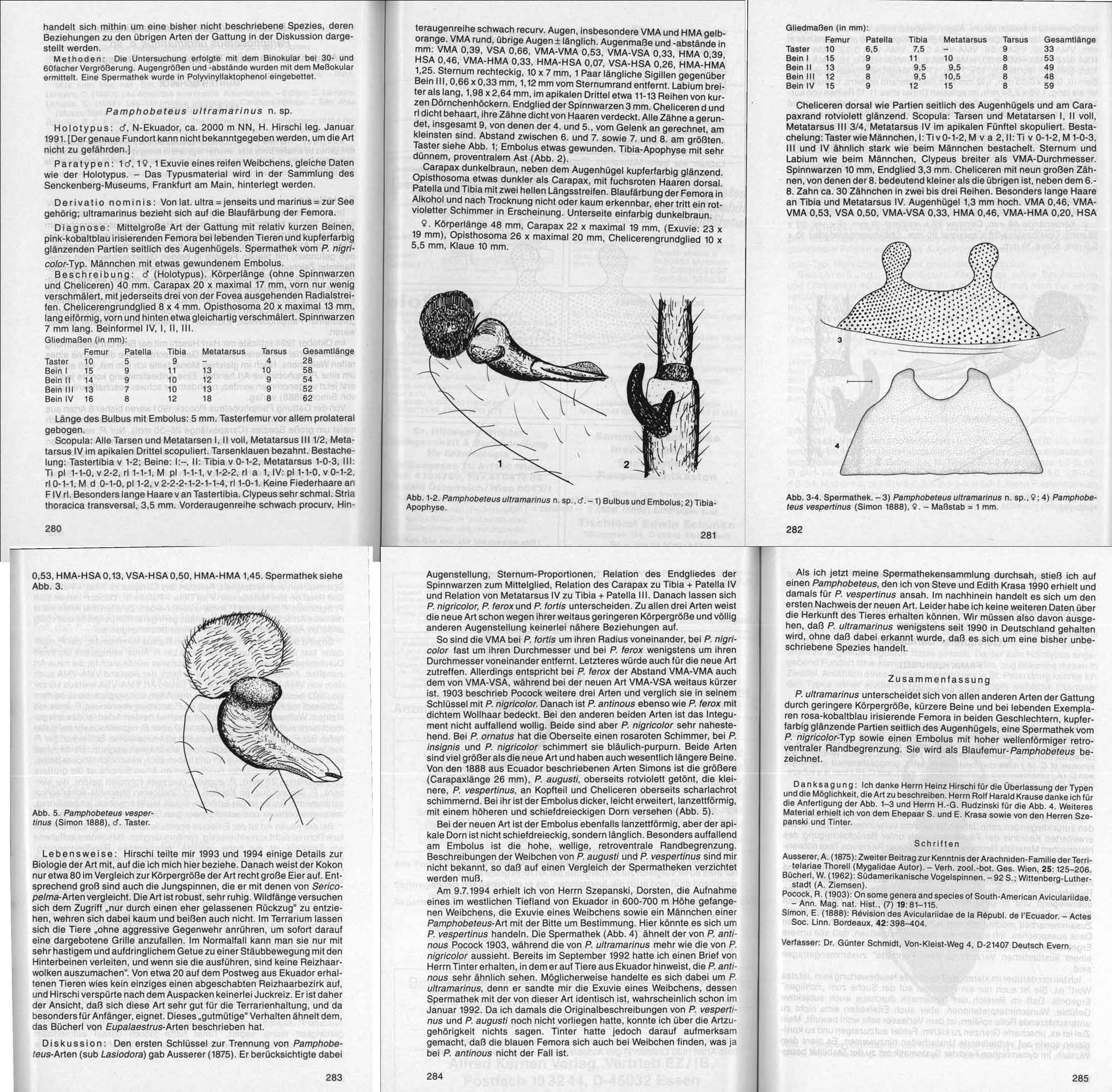 Original Description