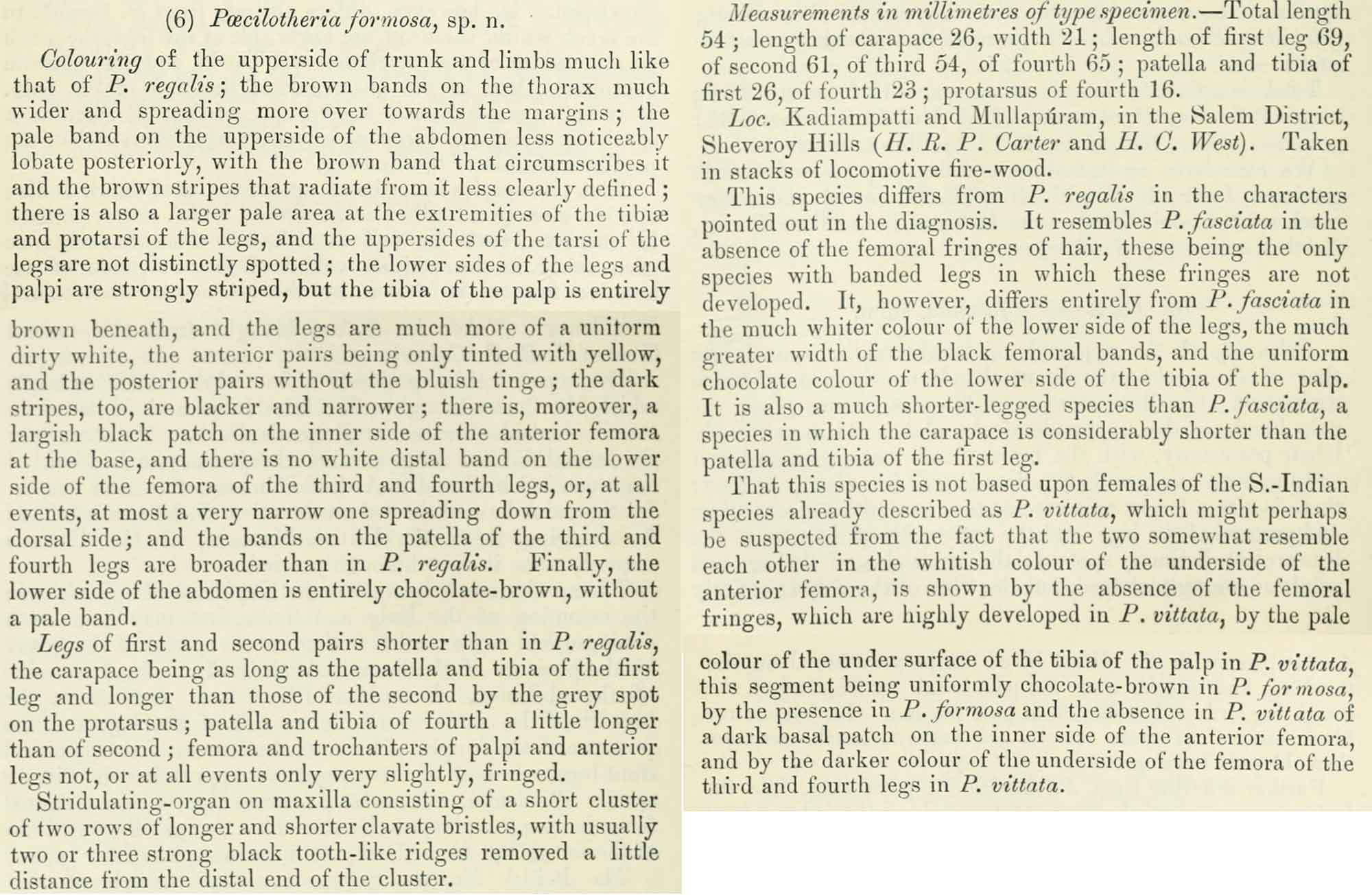 Original Description