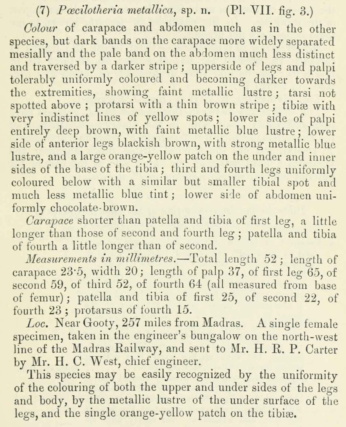 Original Description