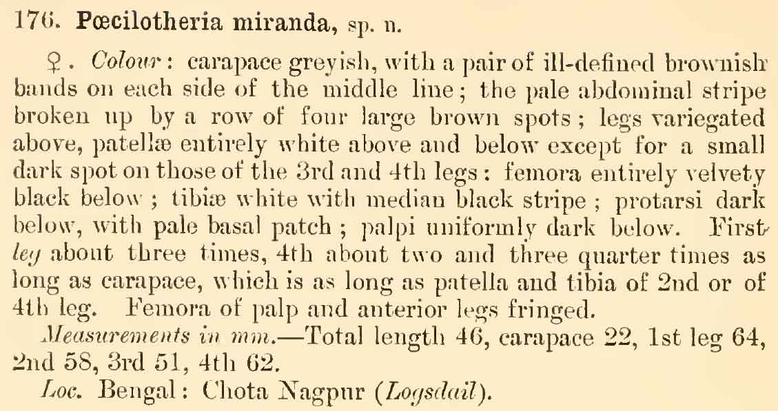 Original Description