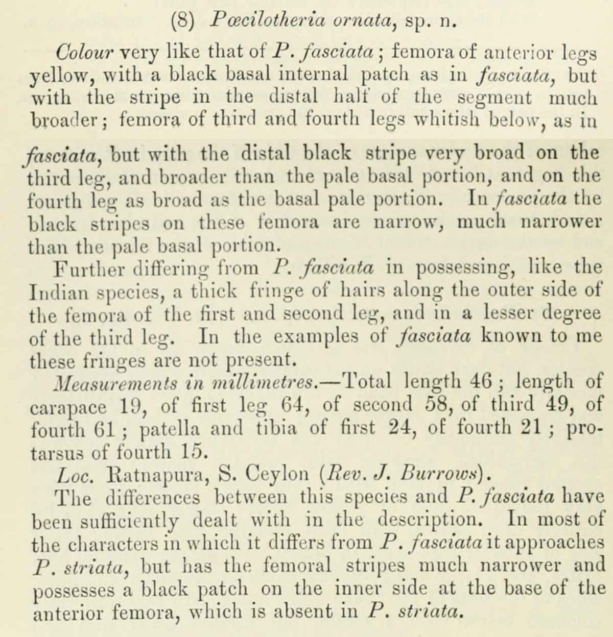 Original Description