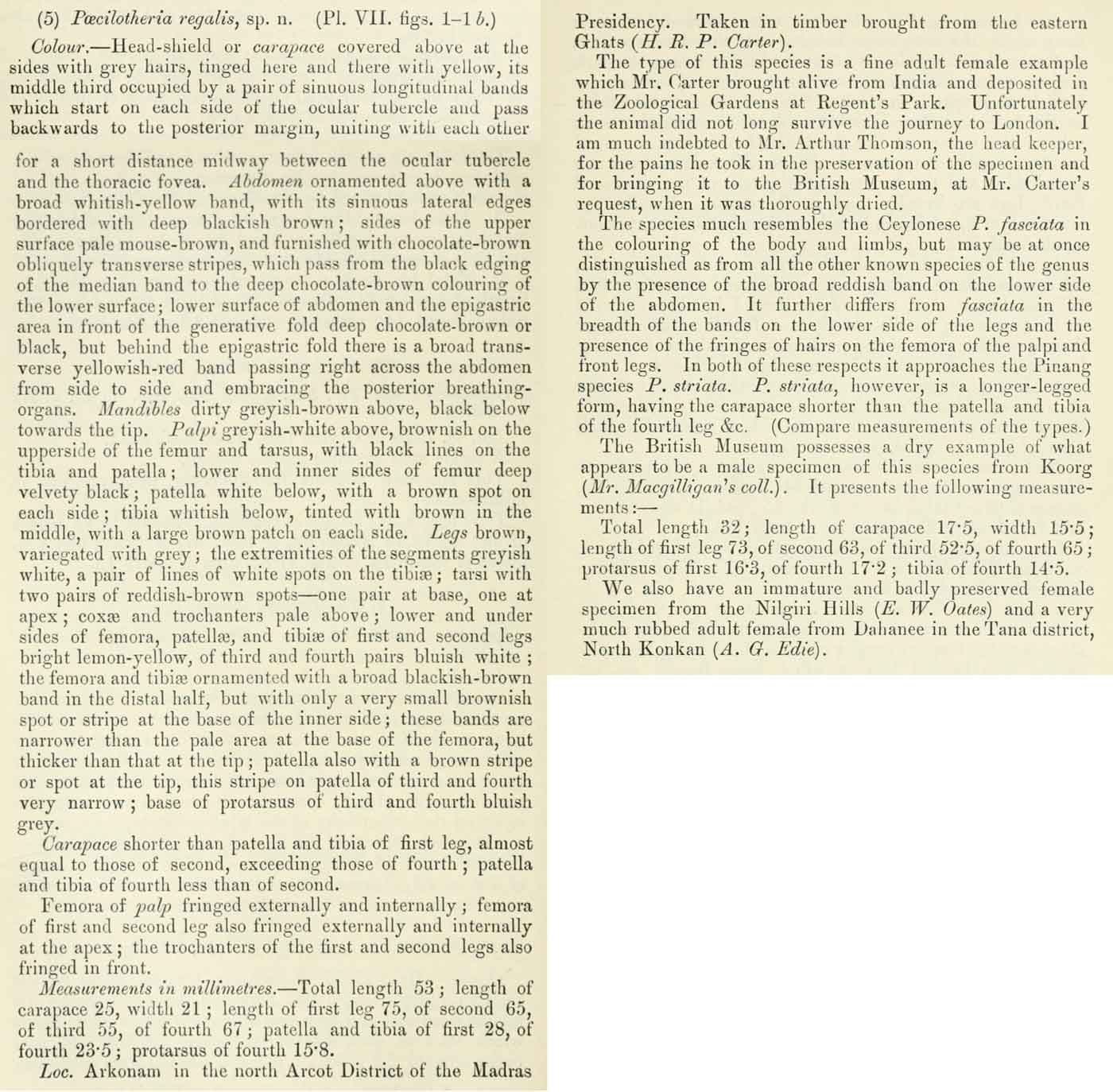 Original Description