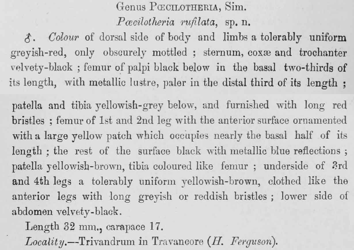 Original Description