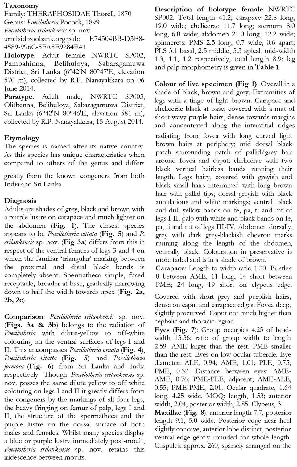 Original Description
