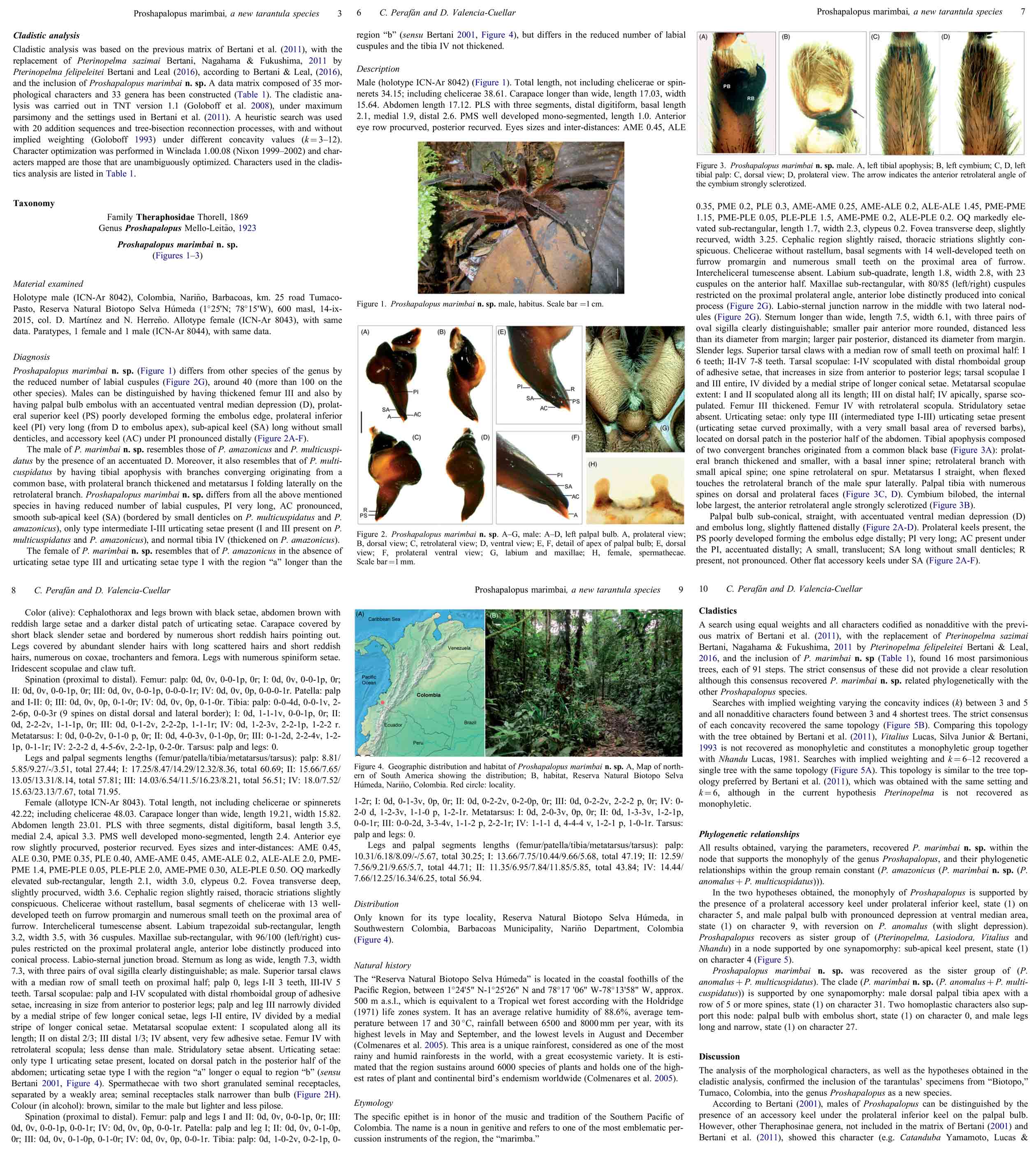 Original Description