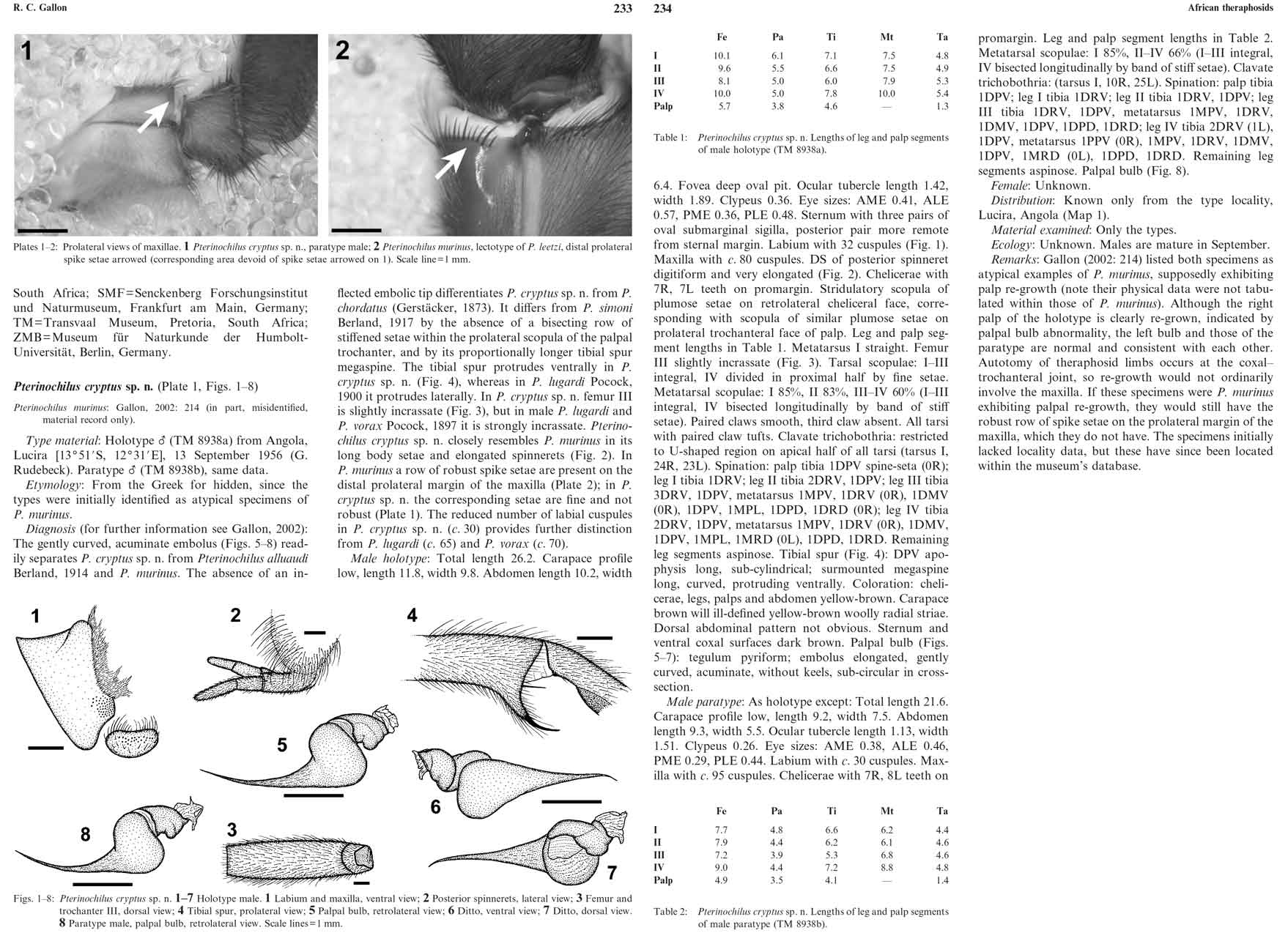 Original Description