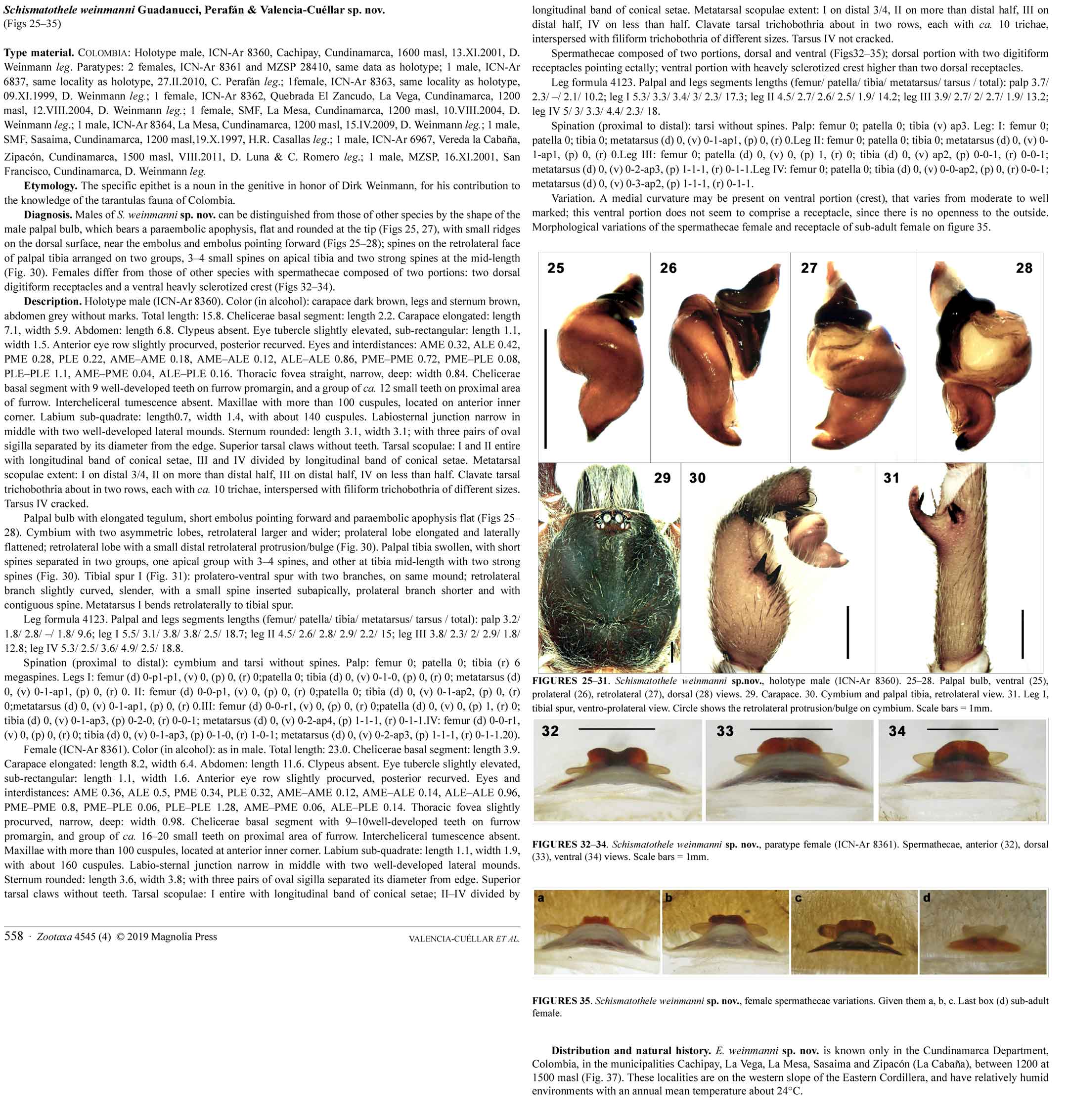 Original Description