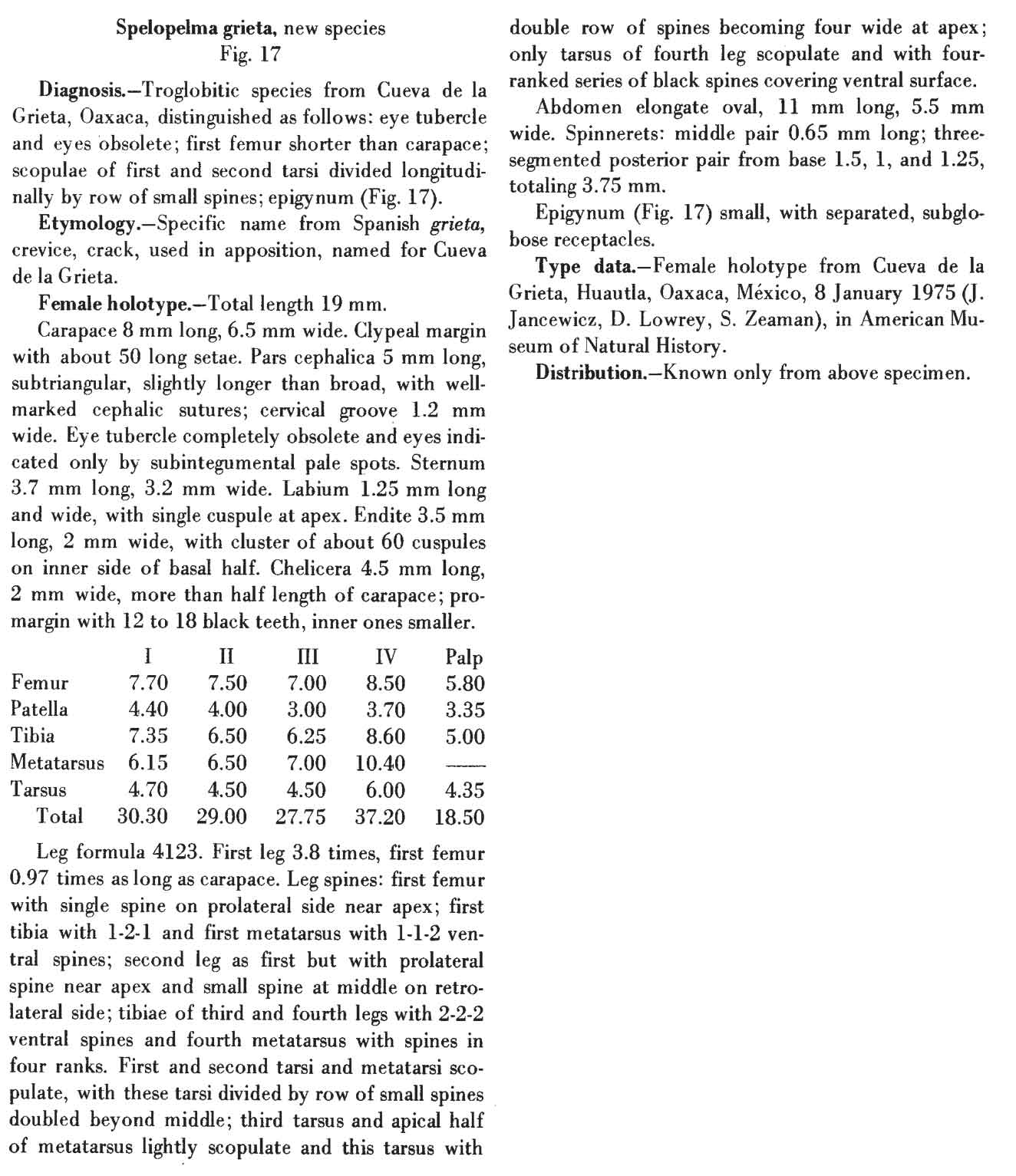 Original Description
