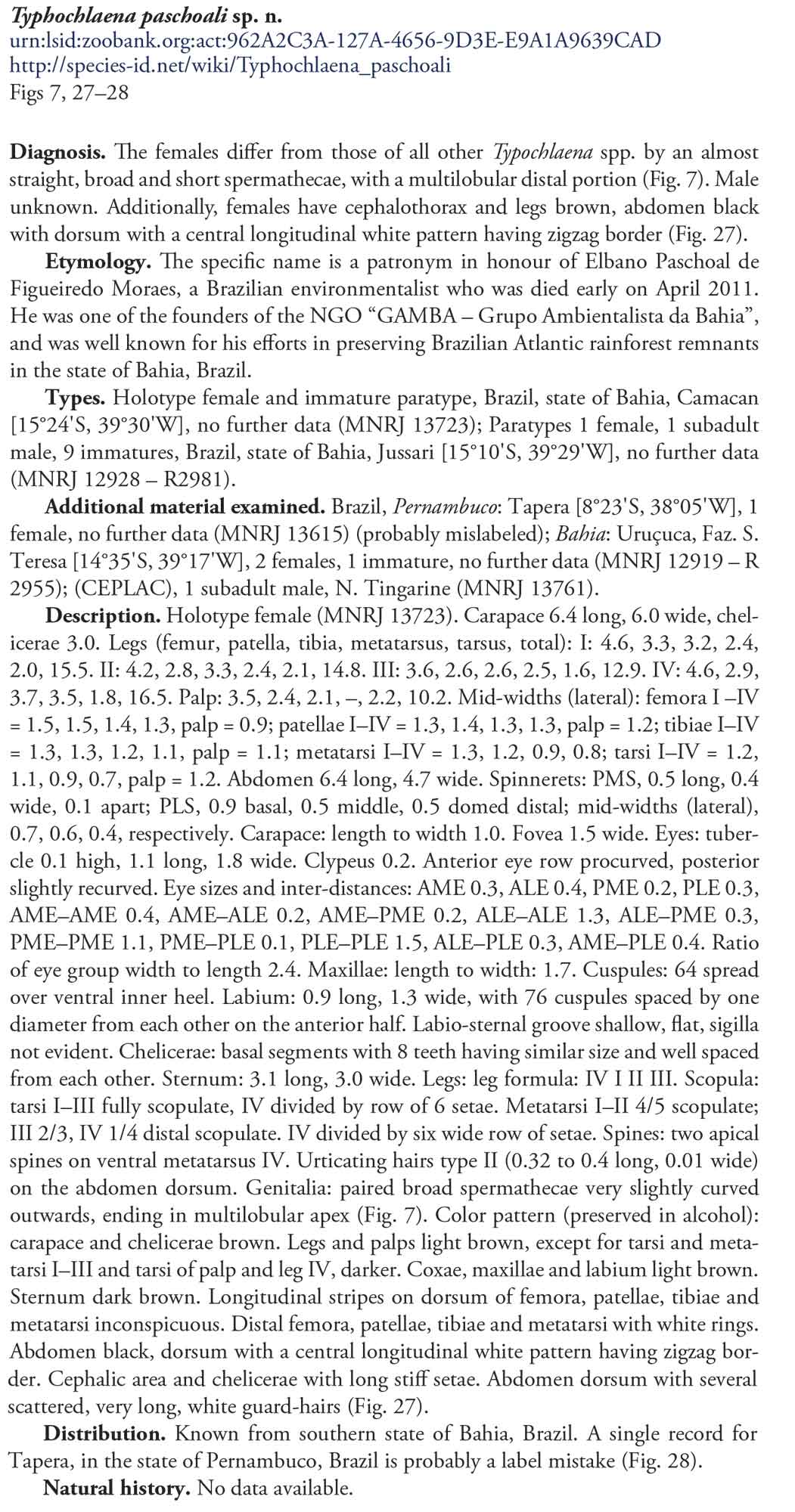 Original Description