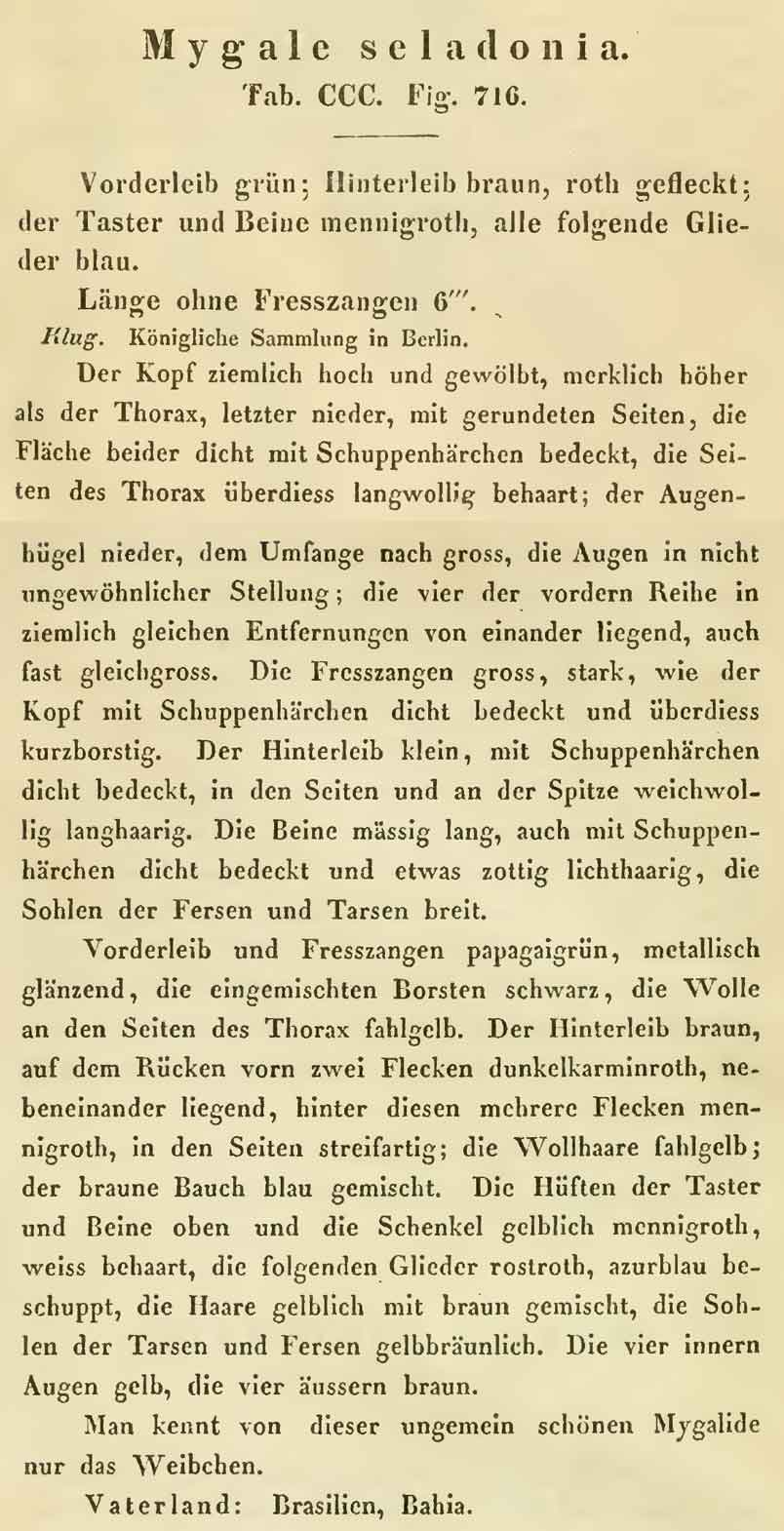 Original Description