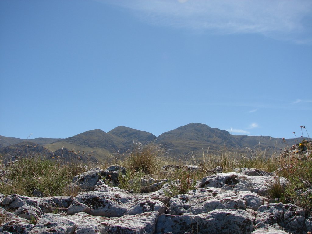 Habitat