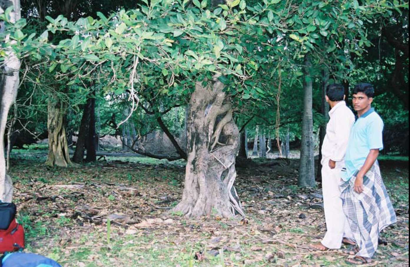 Habitat