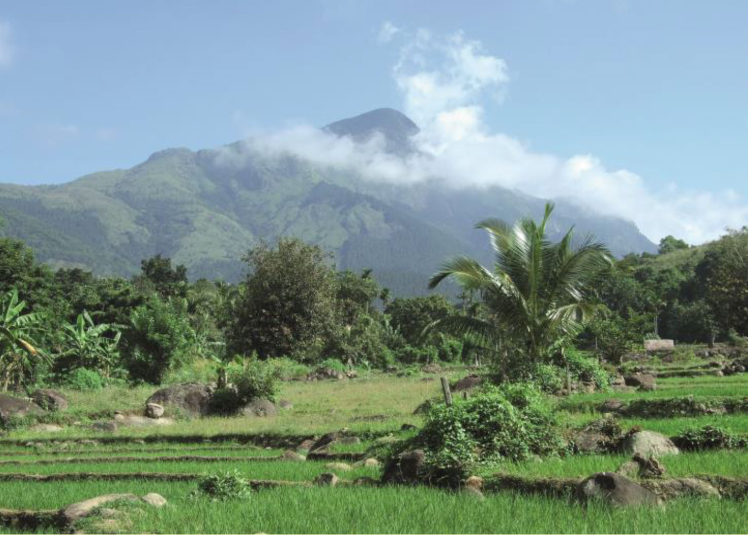 Habitat