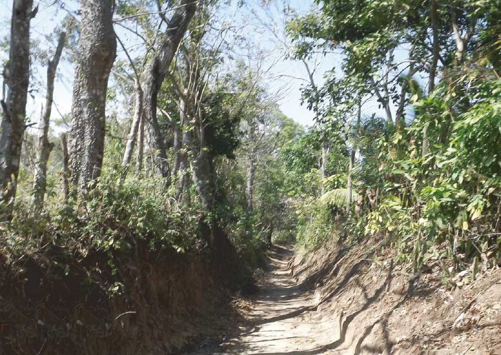 Habitat