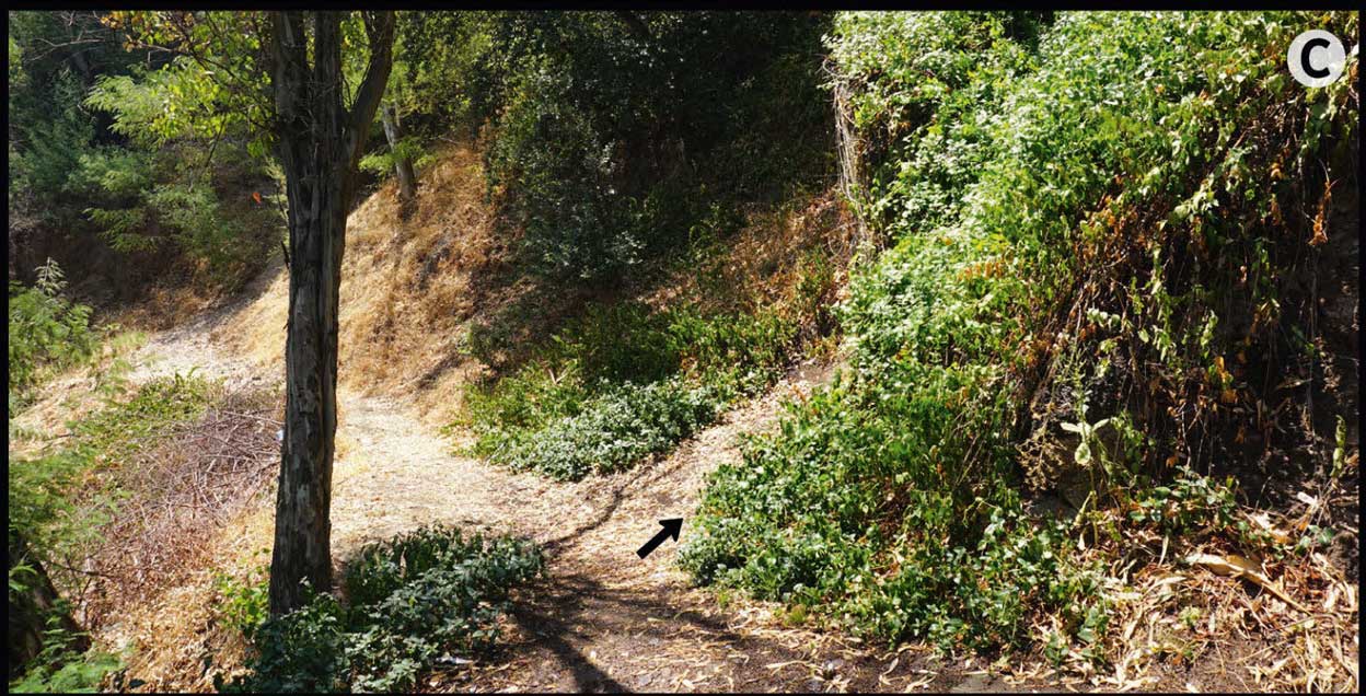 Habitat